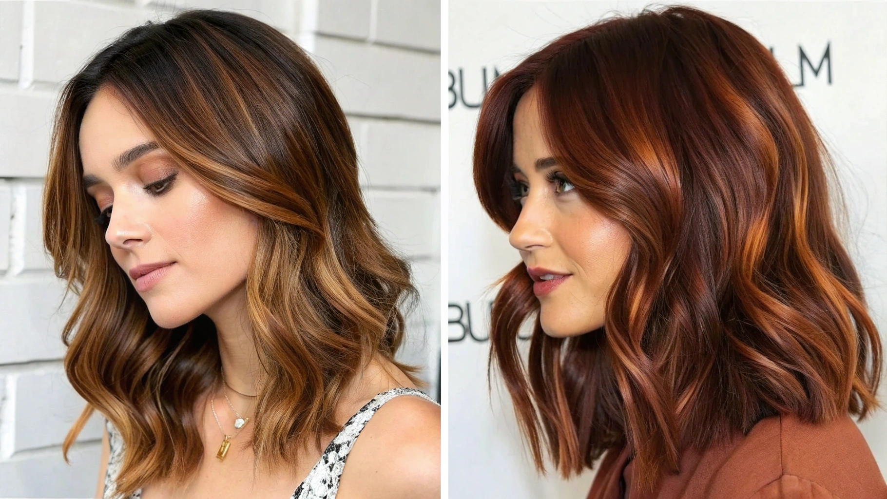 Hair color ideas for brunettes